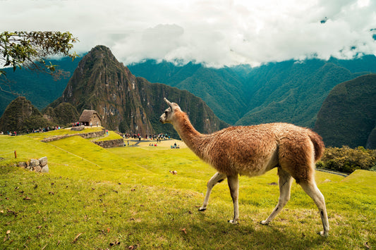 Traveling Ethically through Peru
