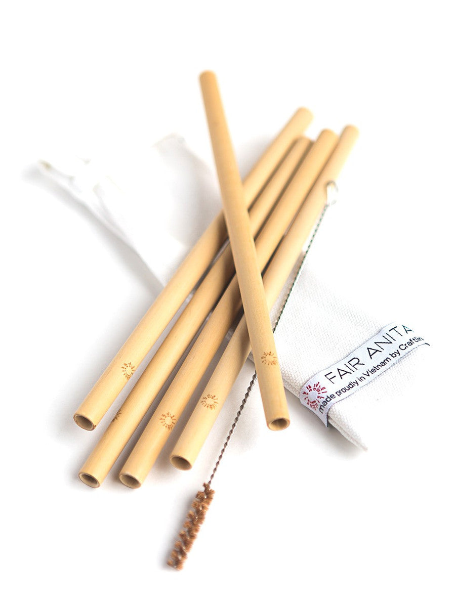 Sustainable Bamboo Straw Set, set of 5 with cleaner and carrying case | Fair Anita