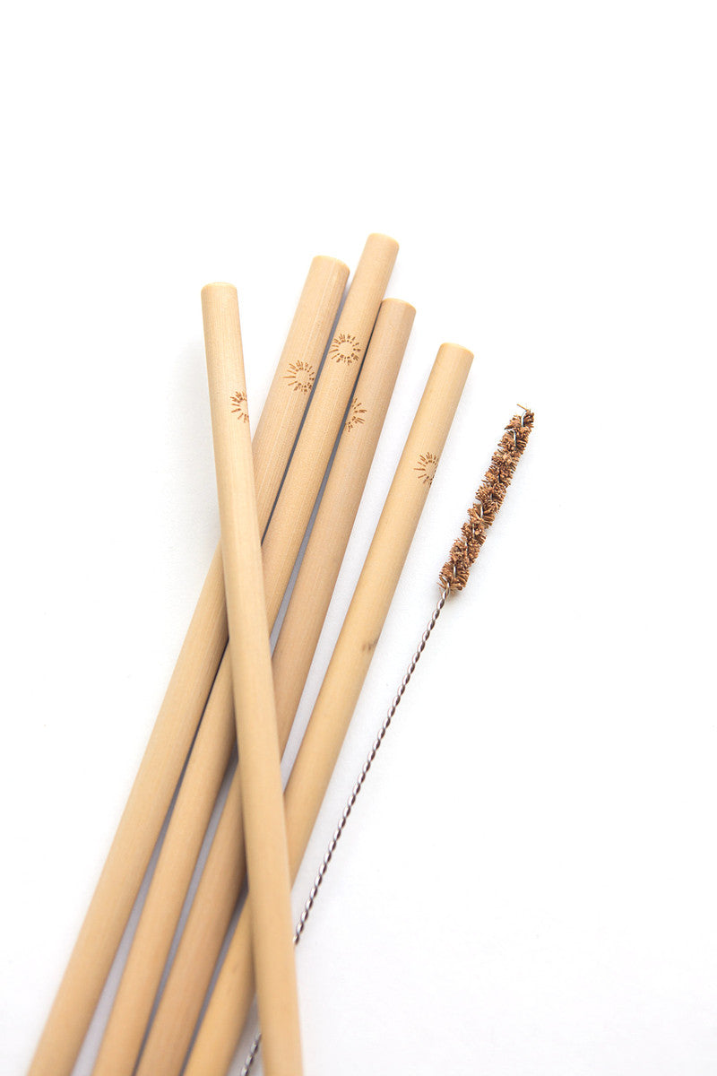 Sustainable Bamboo Straw Set, set of 5 with cleaner and carrying case | Fair Anita