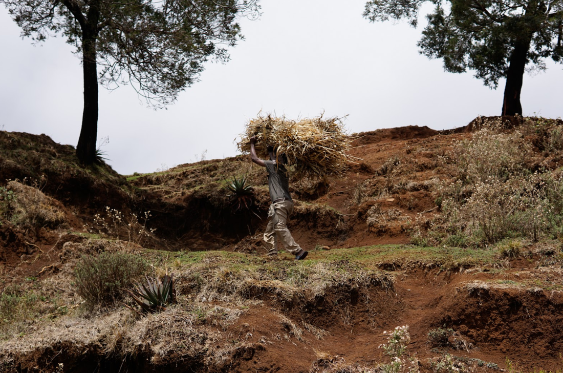 Ethiopia: A Week's Visit in Pictures