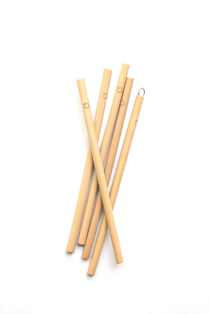 Sustainable Bamboo Straw Set, set of 5 with cleaner and carrying case | Fair Anita