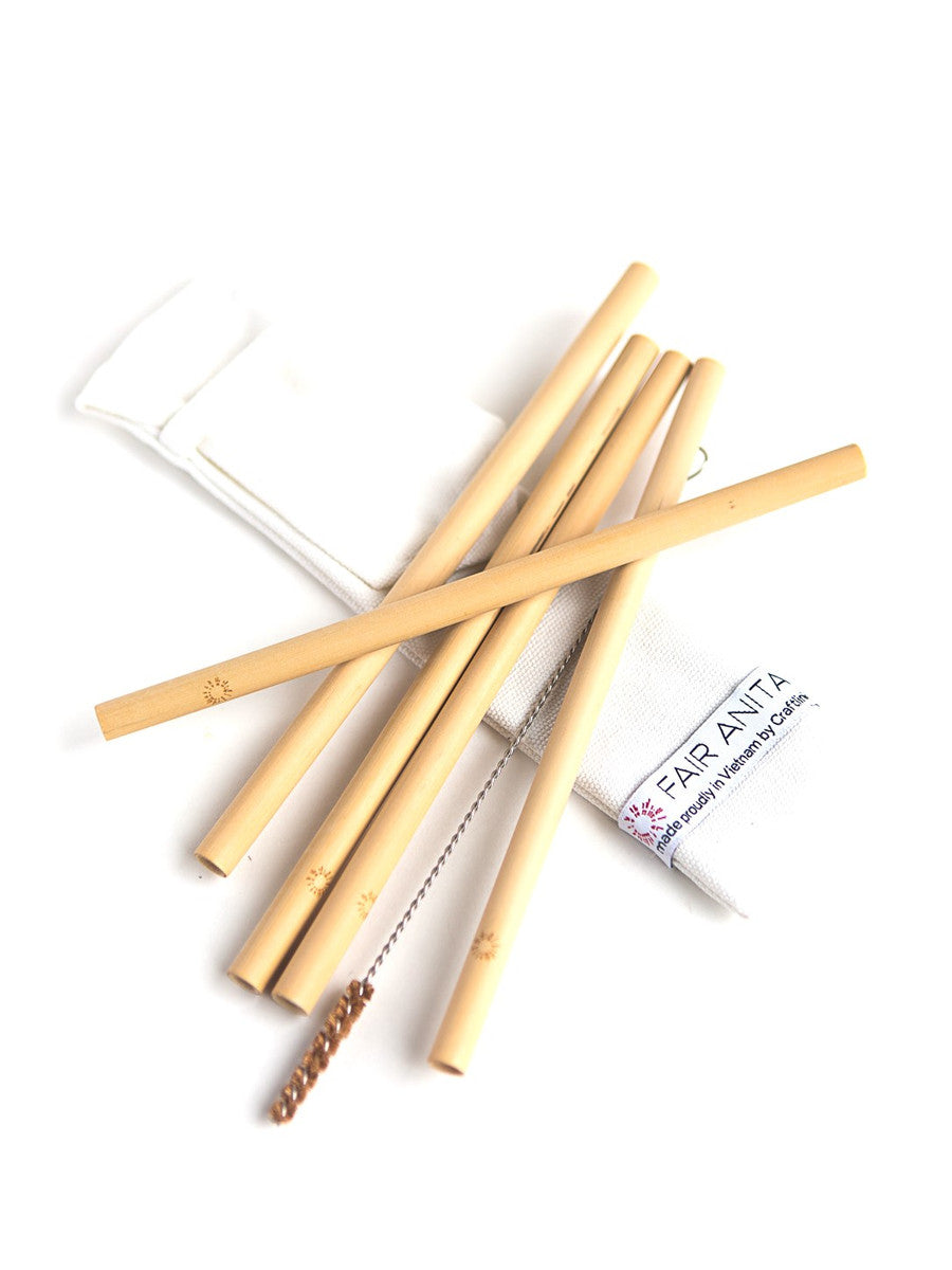 Sustainable Bamboo Straw Set, set of 5 with cleaner and carrying case | Fair Anita